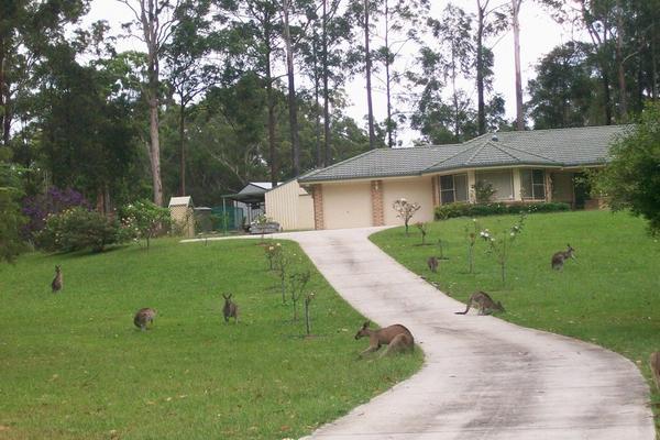 Some Of Our Neighbours In Woopi!!...