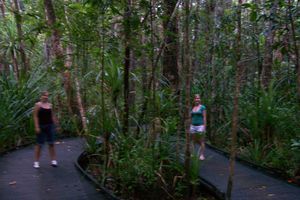 Emma and Charlotte on a walk through a part of the rainforest....