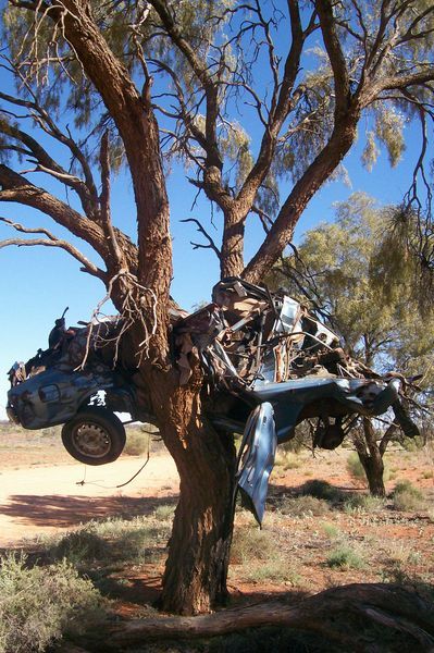 This is what happens when you swerve to avoid a kangaroo....