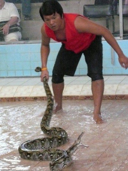 One of the guys pissing off a Python.. not a wise thing to do