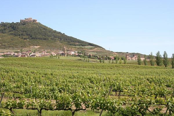 a winery near Ventosa
