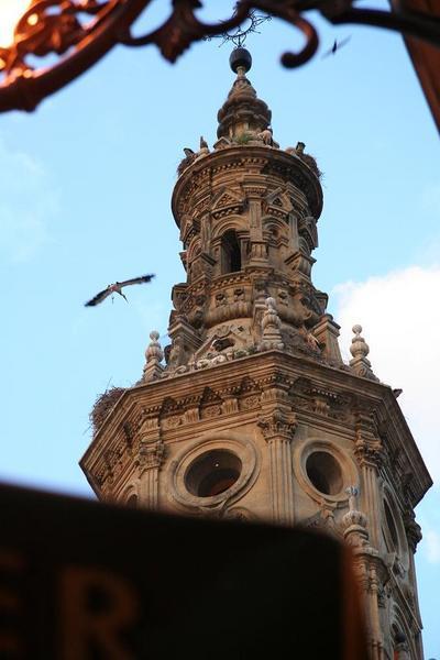 storks in Logroño