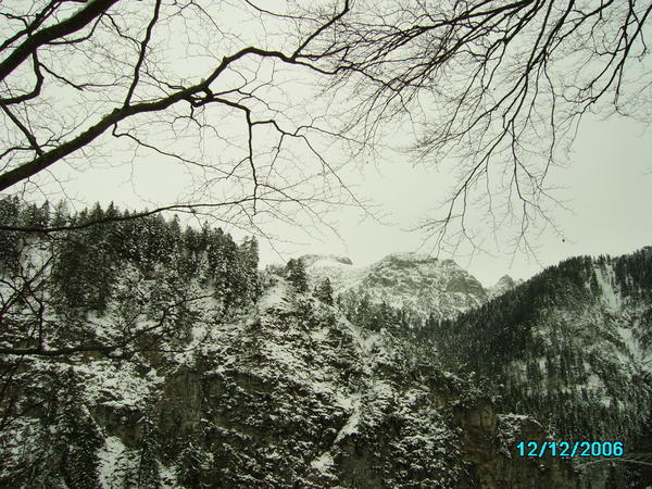 More Alps Views