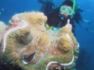 Me diving the Great Barrier Reef!
