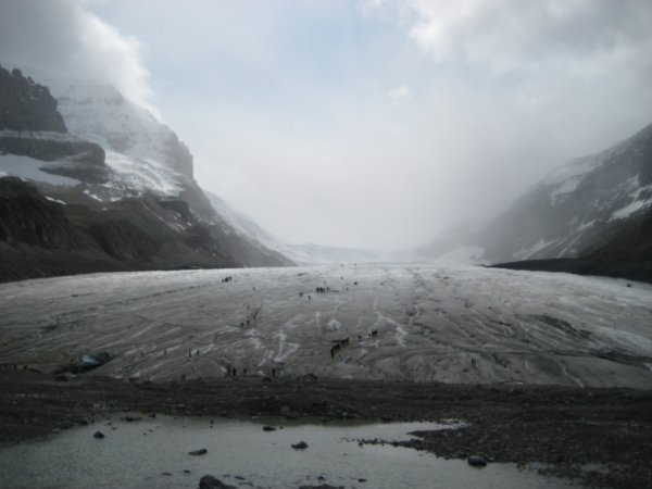 Athabasca Glacier from afar-massive!