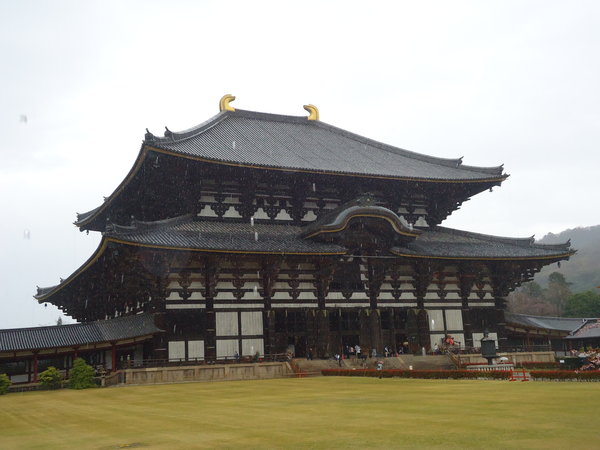 The largest wooden building in the world which housed the Giant Buddha