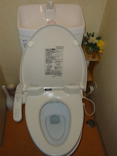 Japanese toilets=cosy!