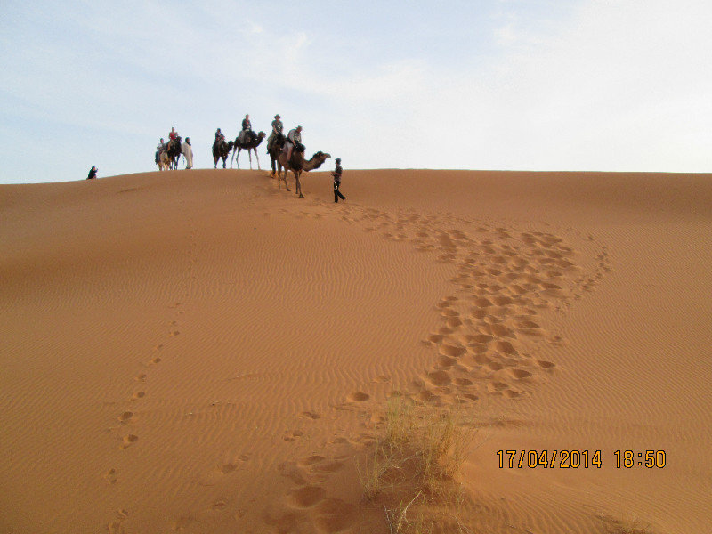 Sahara camel trek