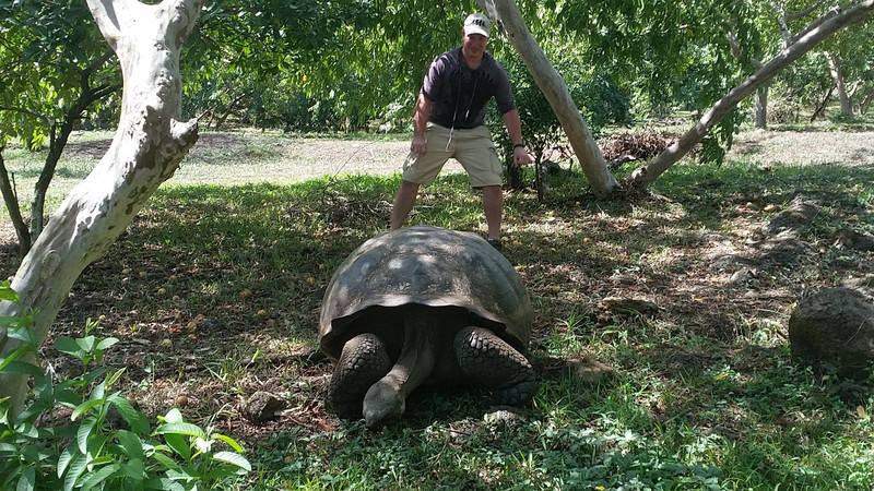 anta Cruz island-highlands tour of giant tortoises