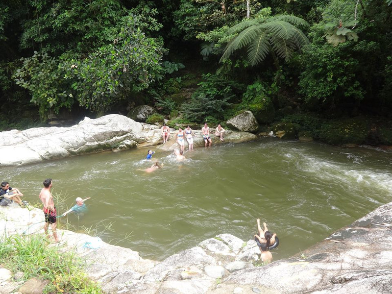 Amazon basin swimming