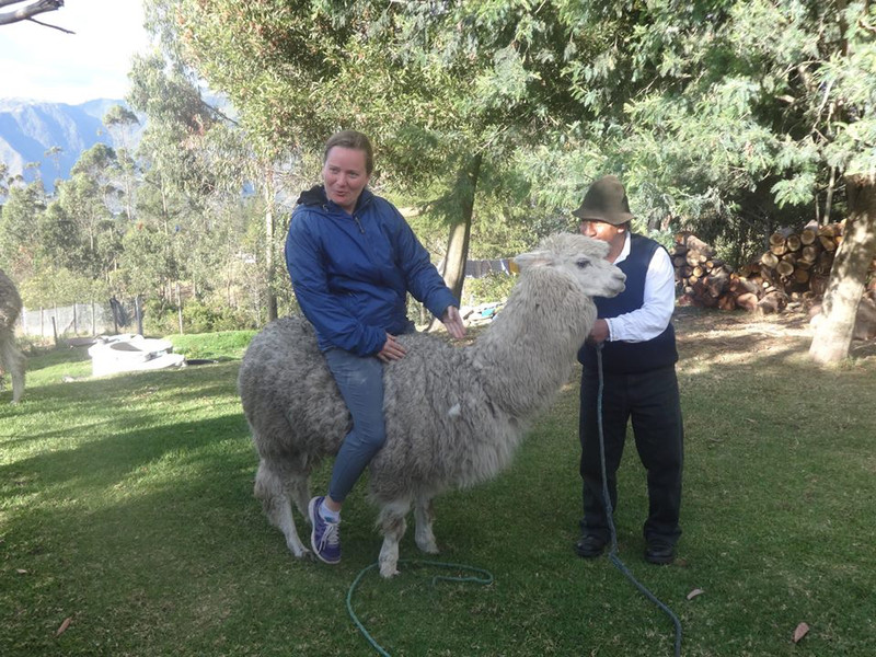 When in Rome, ride an alpacha/llama thingy