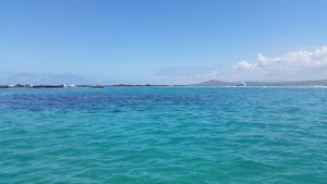 Isla Tintonera snorkelling