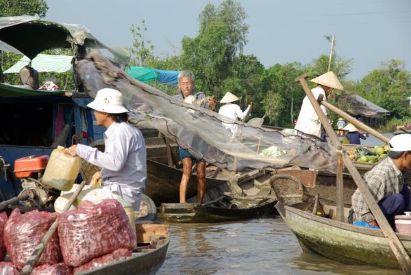Fischer in Phuong Dien