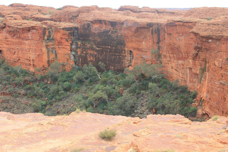 The canyon cliffs