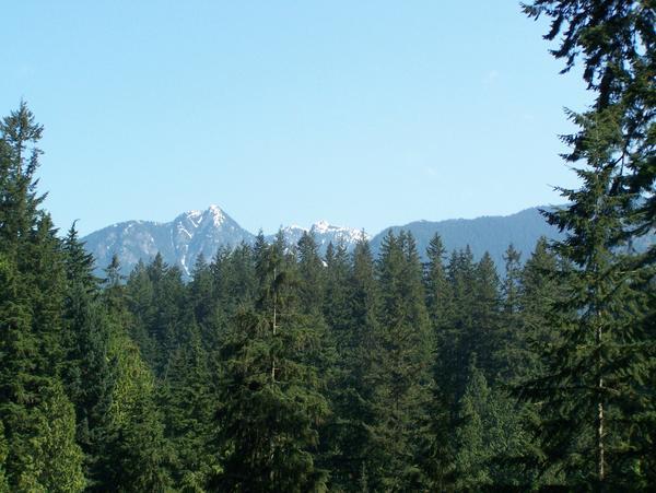 Capilano Suspension Bridge View 1 