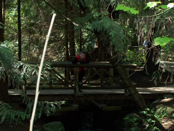 Capilano Suspension Bridge Rain Forest