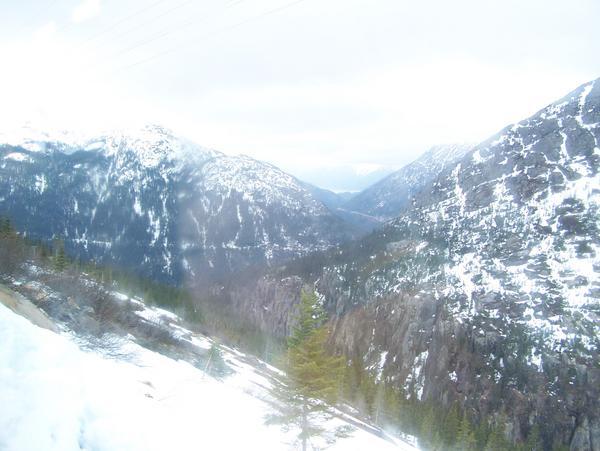 View from White Pass Railroad Tour Scene 4