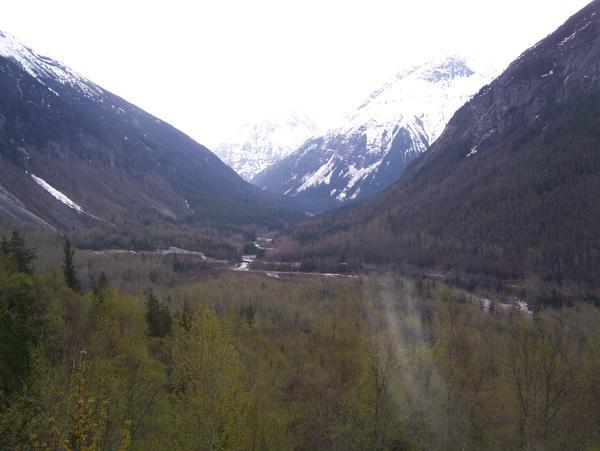 View from White Pass Railroad Tour Scene 5