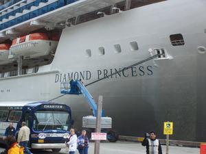 The Diamond Princess at dock