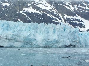 Glacier Bay Scene 1