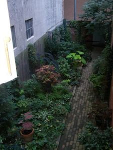 Alley Garden seen from the home where President Lincoln died.