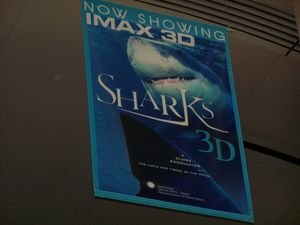 Natural History Museum...IMAX Sharks 3-D