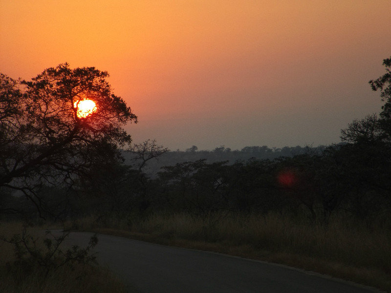Zonsopkomst in Krugerpark