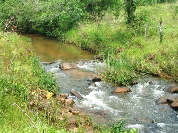 Freshwater Stream.