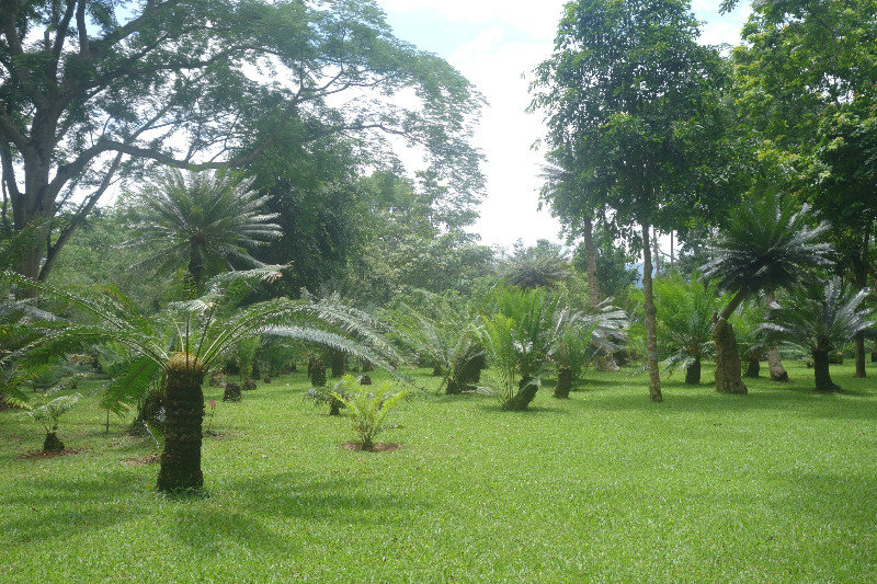 Botanická zahrada v Menglun