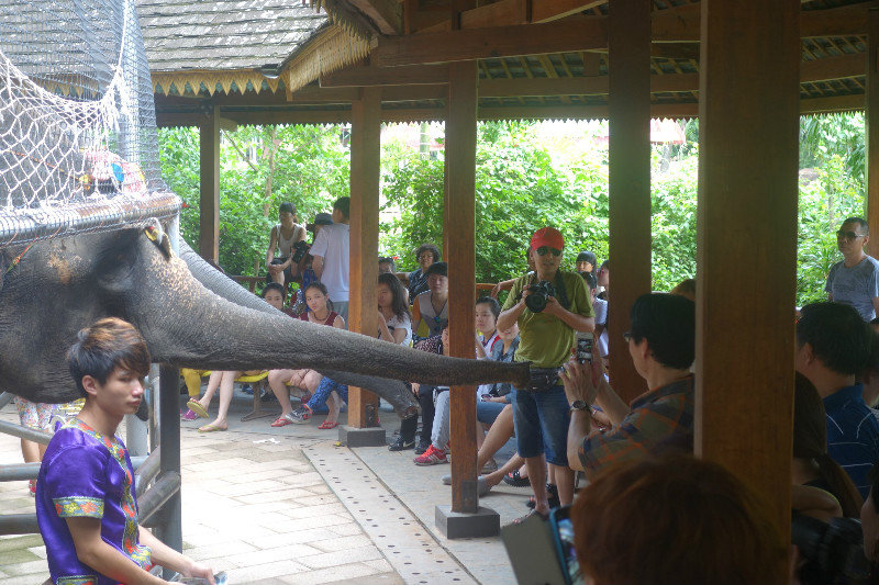 Sloní show v Mantingském parku v Jinghong