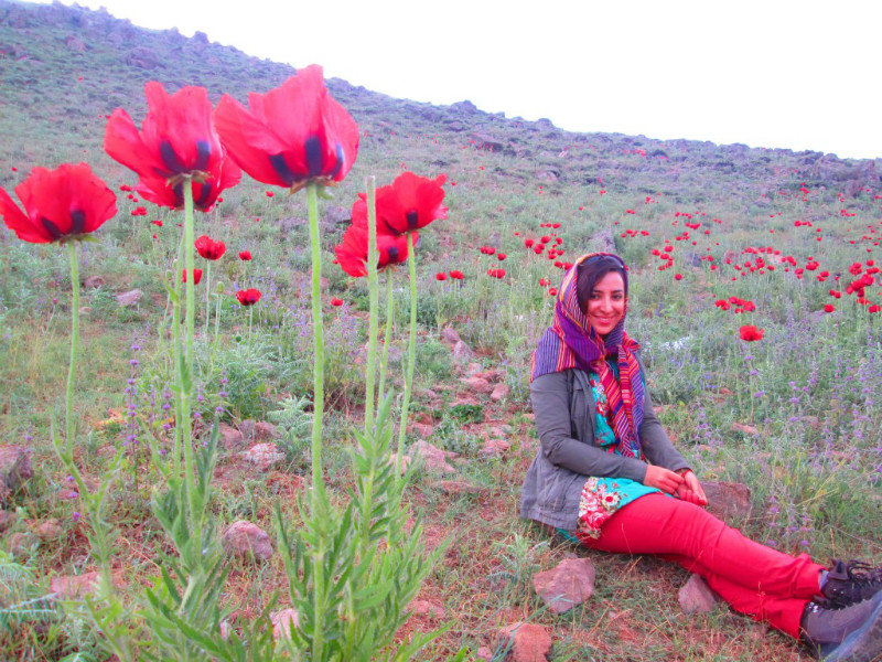 Poppy fields are everywhere, we were there on 12.06.2014