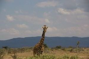 Masai Mara Reserve