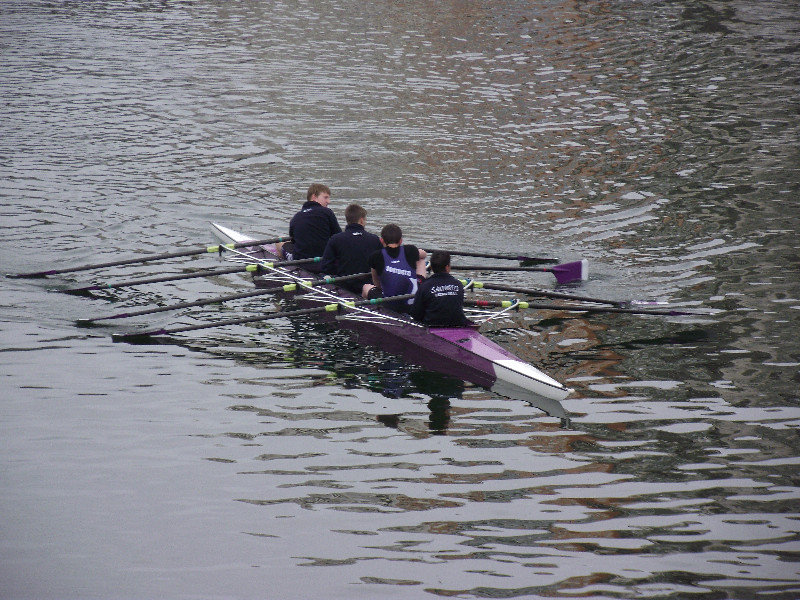Rowers below the bridge