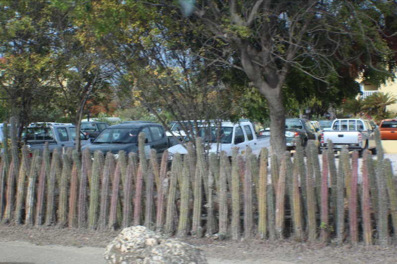 Typical fence