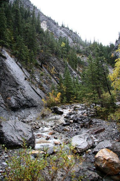 Heart Creek Trail