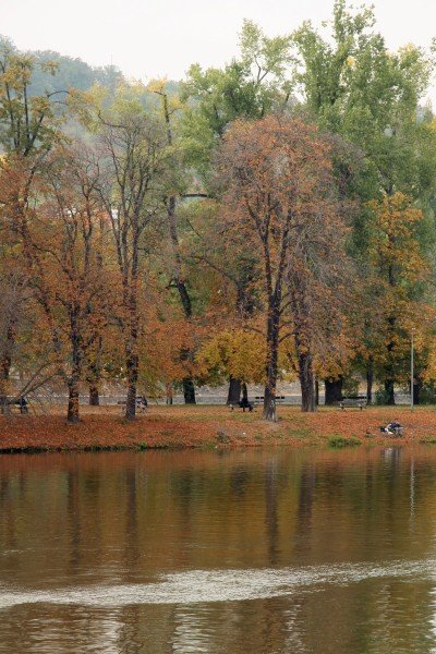 Autumn on the Vltava River