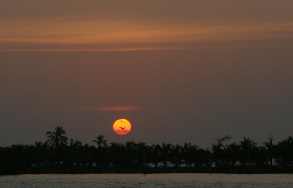 Sunrise at South Long Cocoa Cay