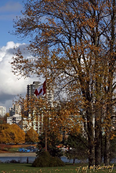 Canada remembers: half-mast for Remembrance Day
