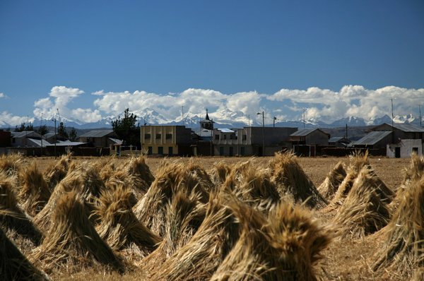 Harvest time at Giaqui