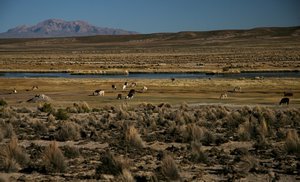 Southern Altiplano 2