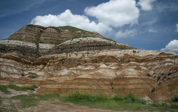 Horseshoe Canyon Formation
