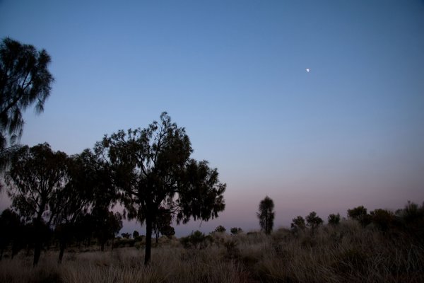Dawn in the Outback