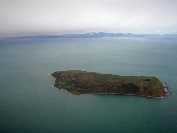 Mana Island (I think) and the South Island