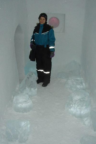 Foyer to an ice suite