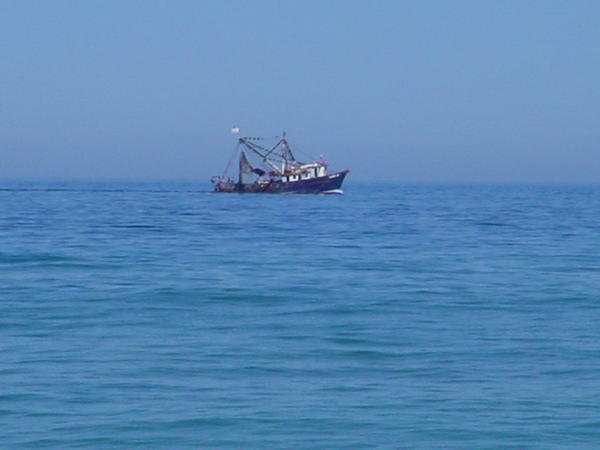 Shrimp boat 