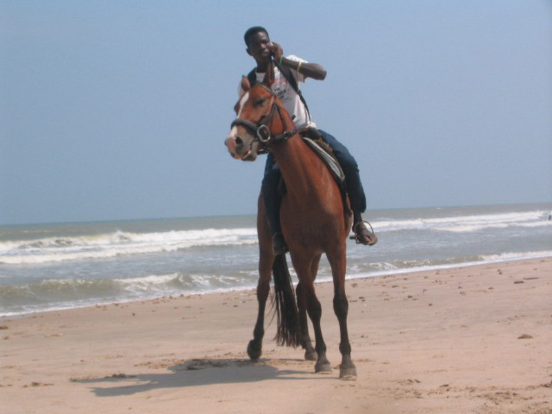 Horse back riding on the beach