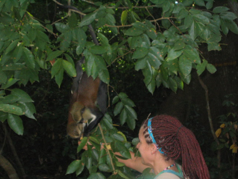 Shelbey feeding a monkey