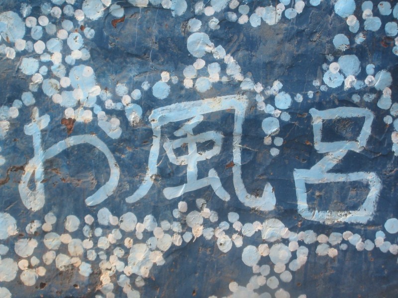 Japanese writing on the "shower"