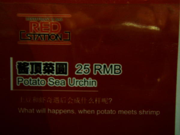 Potato Sea Urchin