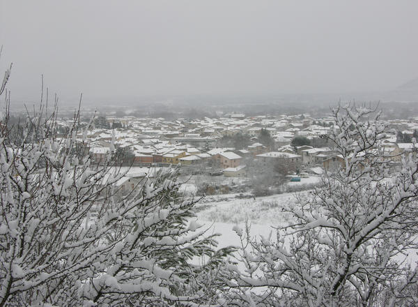 Snowy Landscape